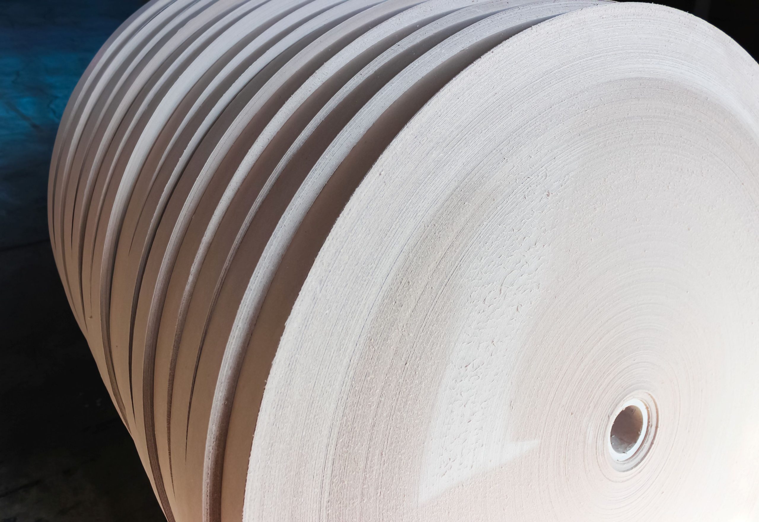 cardboard roll sliced