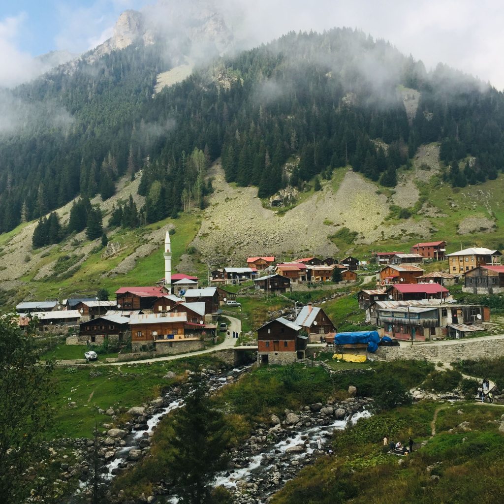 testimonial-skip-01 Charming village nestled in mountains with vibrant greenery and a flowing river.